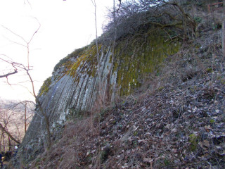 Bazaltorgona