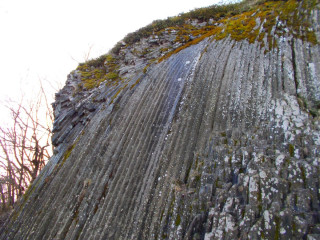 Bazaltorgona