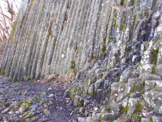Bazaltorgona