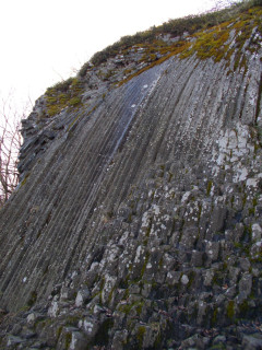 Bazaltorgona
